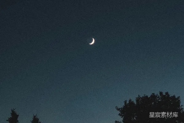 高清摄影 夜空中的新月与树影