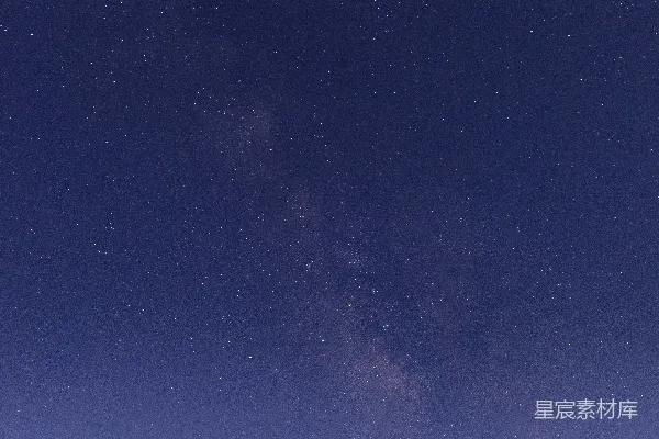 高清摄影 夜空下的繁星与树木轮廓
