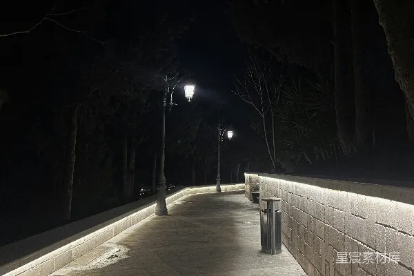 高清摄影 夜色中的路灯与石墙