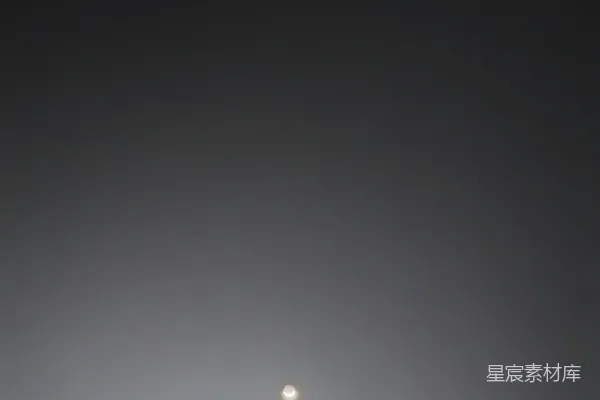 高清摄影 朦胧月夜下的树梢剪影