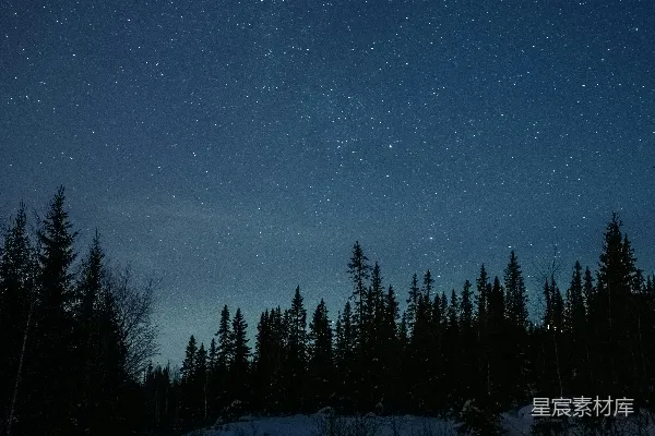高清摄影 雪夜星河下的寂静森林