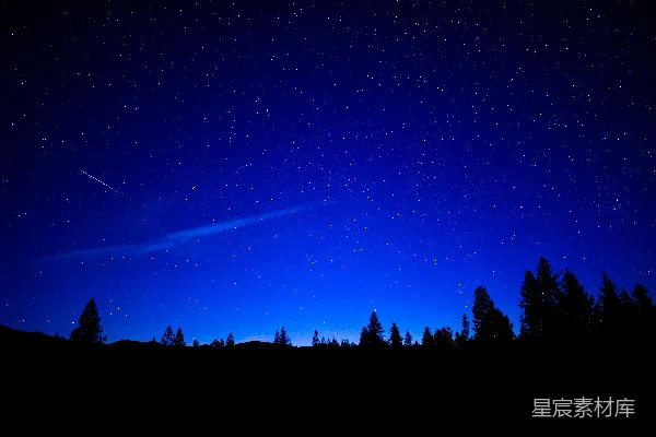 高清摄影 夜空下的流星与森林