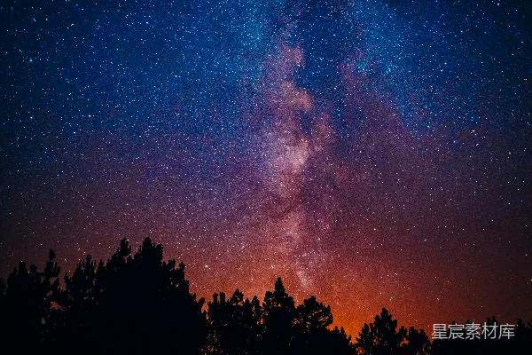 高清摄影 星空下的树梢
