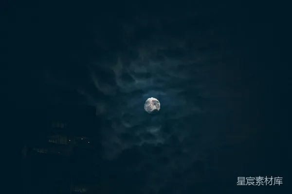 高清摄影 月夜下的城市剪影