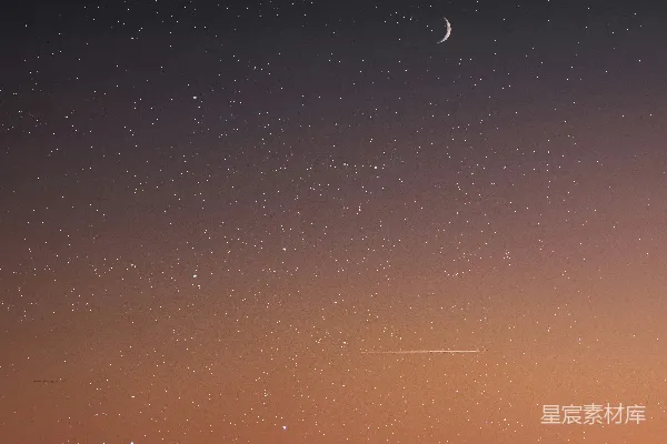 高清摄影 夜空下的森林与新月