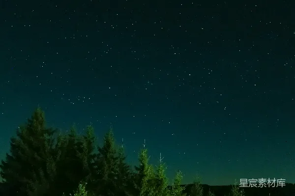 高清摄影 夜空中闪烁的星星与森林