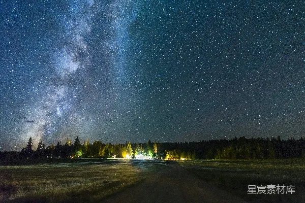 高清摄影 星空下的宁静森林