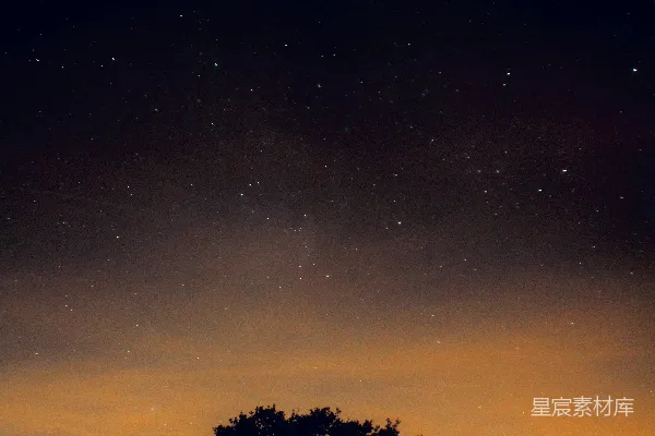 高清摄影 夜空中的一棵树