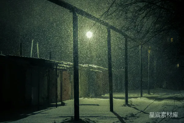 高清摄影 冬夜雪景下的街灯