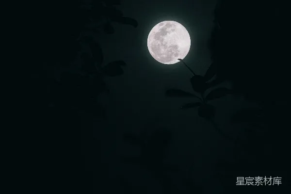高清摄影 月光下的静谧