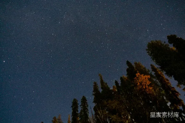 高清摄影 夜空中闪烁的星河
