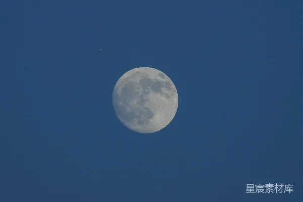 高清摄影 夜空中圆月与飞机