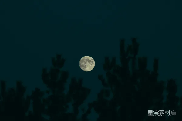 高清摄影 夜空中的月光