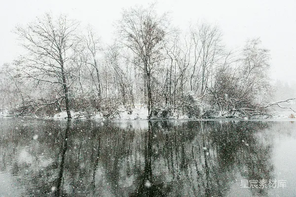 高清摄影 雪地上的裸树旁边有一条河，在白天。