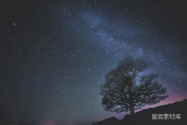 高清摄影 夜晚星空下的孤独树