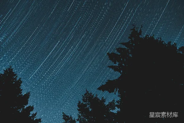 高清摄影 星轨与森林