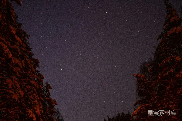 高清摄影 冬夜星空下的雪路