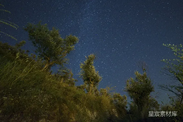 高清摄影 夜空下的静谧草地