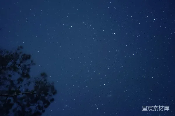 高清摄影 夜空下的繁星