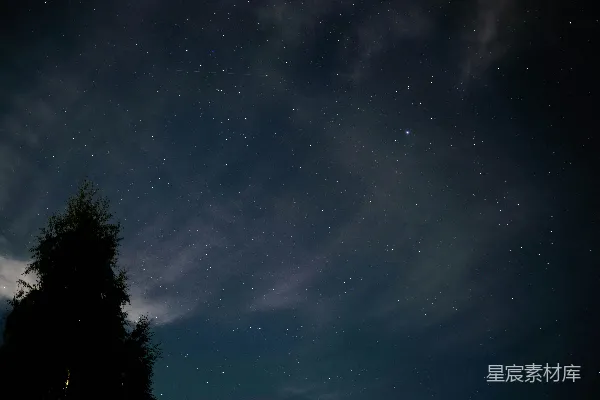 高清摄影 夜晚的星空与树木剪影