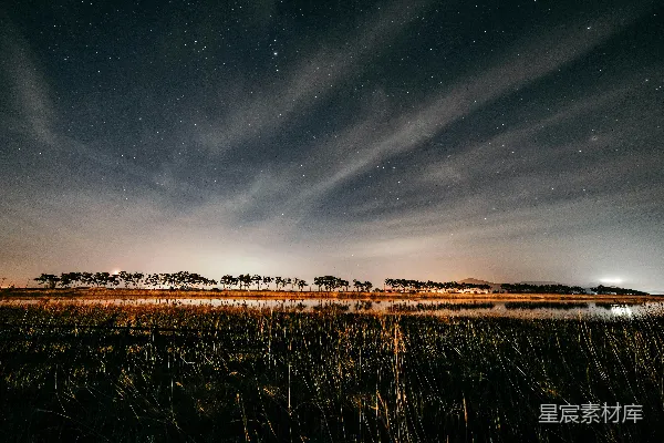 高清摄影 星空下的湿地