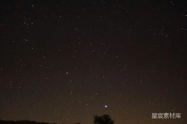 高清摄影 夜空下的孤树