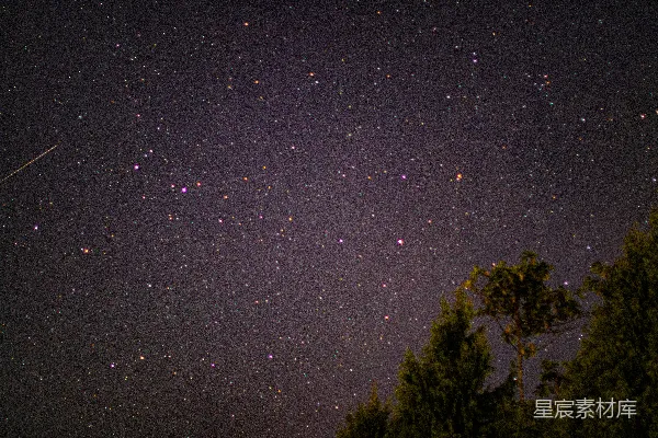 高清摄影 星空下的树影