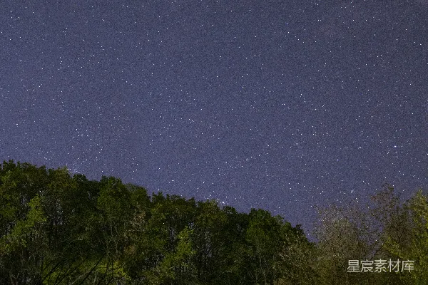 高清摄影 夜空中繁星点点的乡村景象