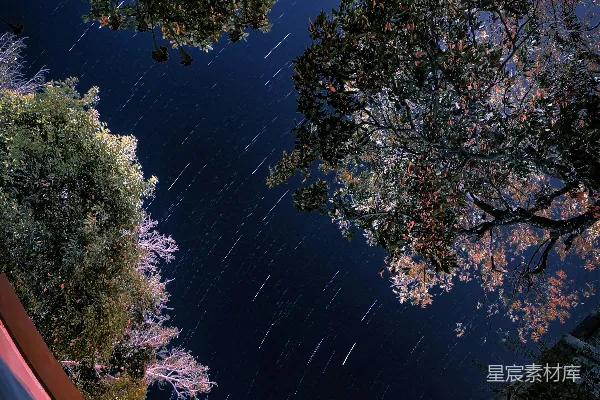 高清摄影 树下星轨