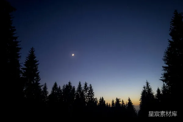 高清摄影 夜幕下的林梢与星月