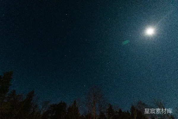 高清摄影 夜空下的森林与满天星斗