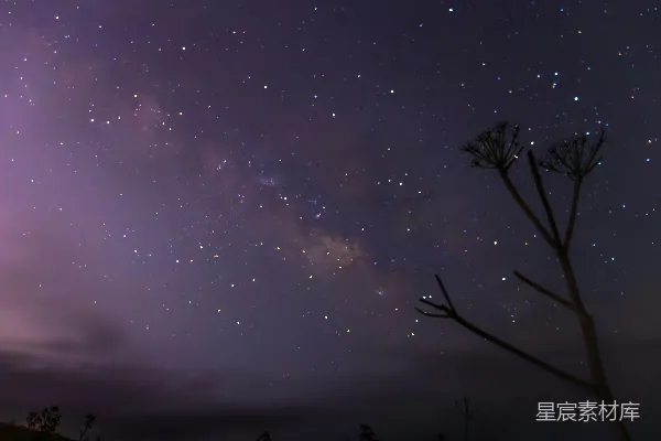 高清摄影 夜空下的星河