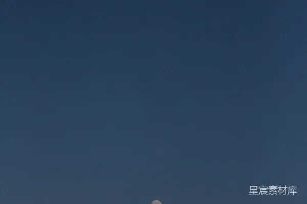 高清摄影 夜空中的明月
