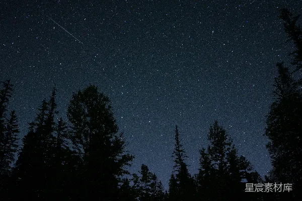 高清摄影 夜空下的流星与松林
