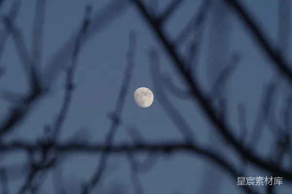 高清摄影 寒夜中的明月