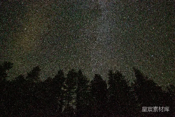 高清摄影 夜幕下的森林与星空
