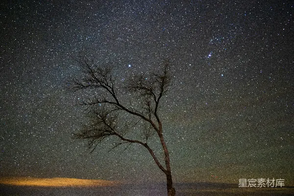 高清摄影 星空下的孤独树