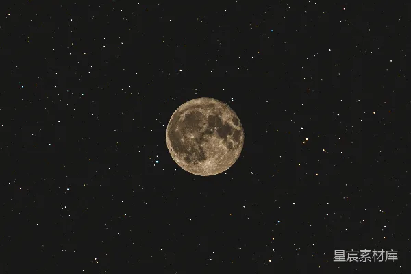 高清摄影 夜空下的满月