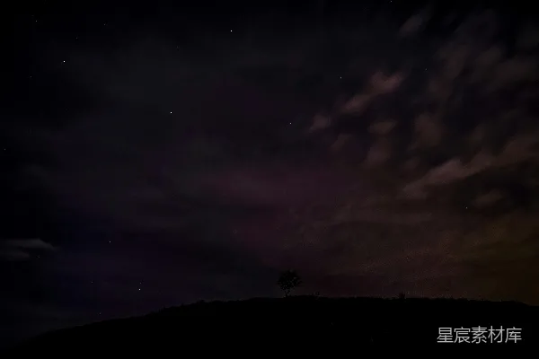 高清摄影 孤树下的夜空