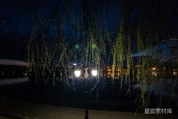 高清摄影 夜色中的垂柳与路灯