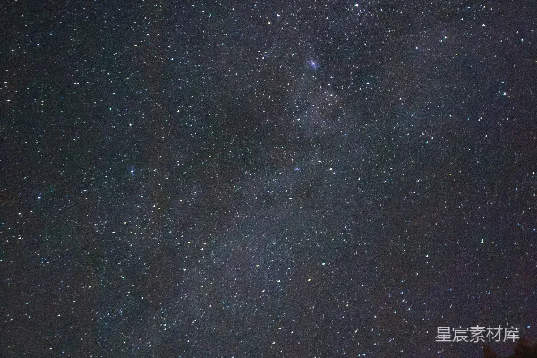 高清摄影 璀璨星空下的森林