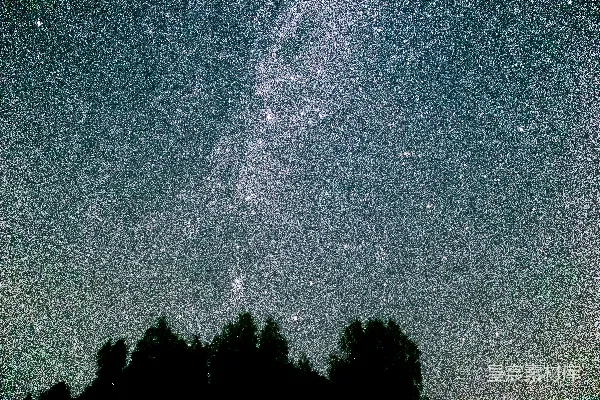 高清摄影 璀璨星空下的树梢轮廓