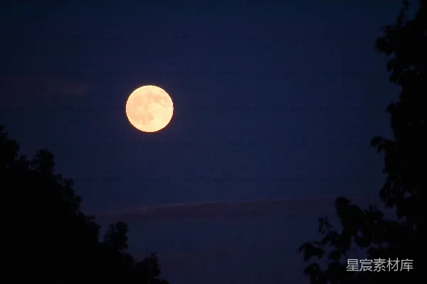高清摄影 夜幕下的粉红色满月