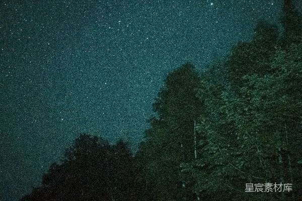 高清摄影 夜幕下的森林星空