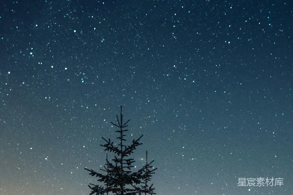 高清摄影 雪夜星空下的松树