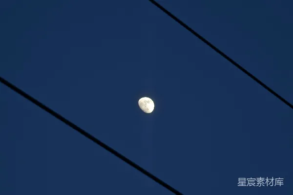 高清摄影 夜空中的月亮与电线
