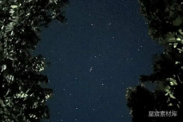 高清摄影 夜空中的繁星