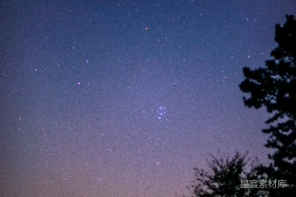 高清摄影 夜空下的繁星