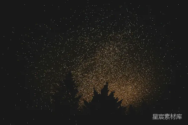 高清摄影 夜空下的树影与繁星