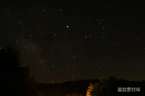 高清摄影 夜空下的森林